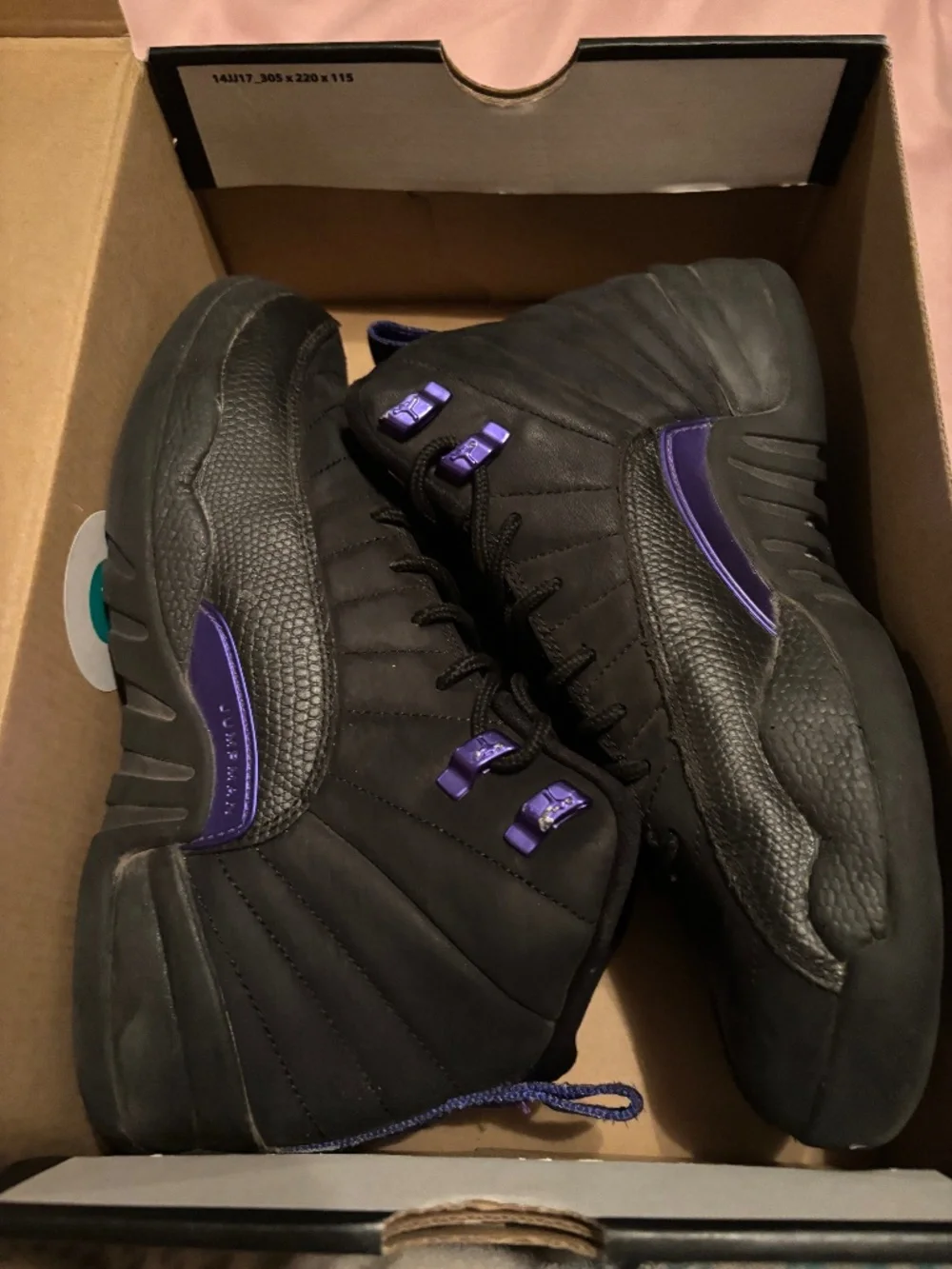 Jordan 12s